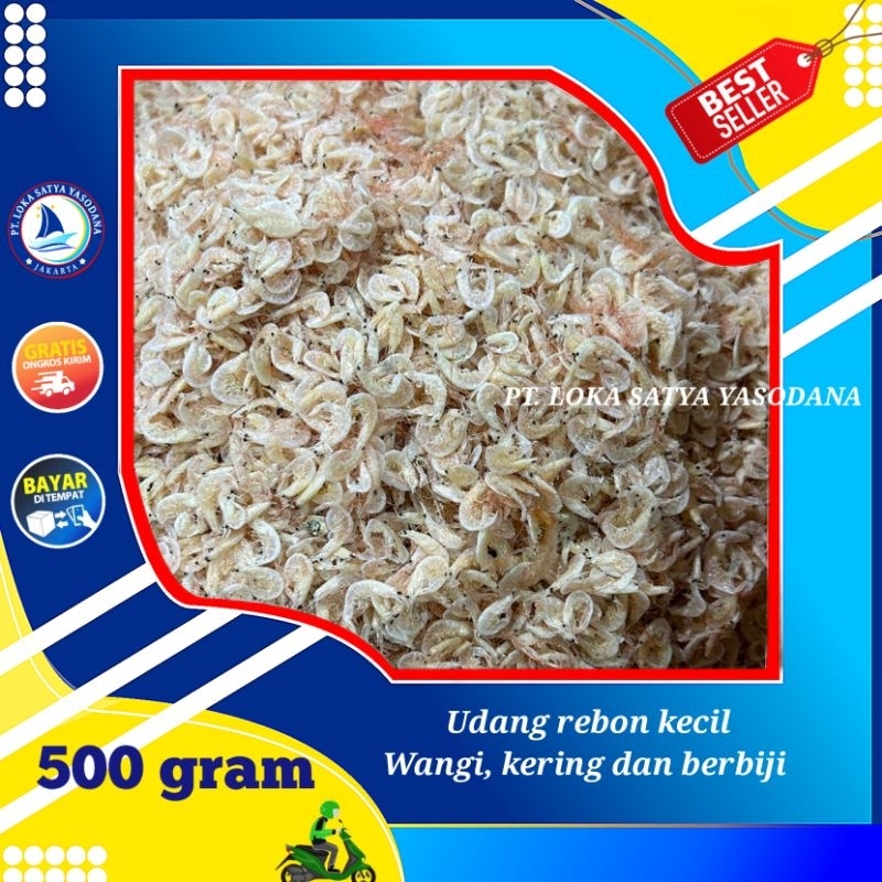 

rebon medan super size kecil berbiji 500gram