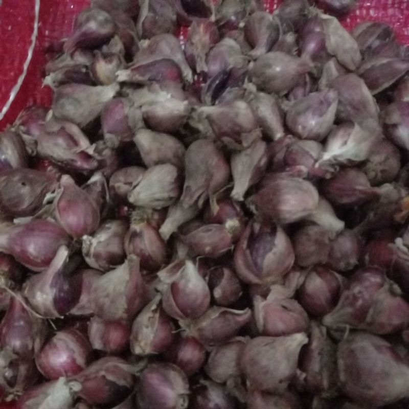 

BAWANG MERAH BREBES | BAWANG MERAH | BAWANG MURAH | BAWANG 1KG