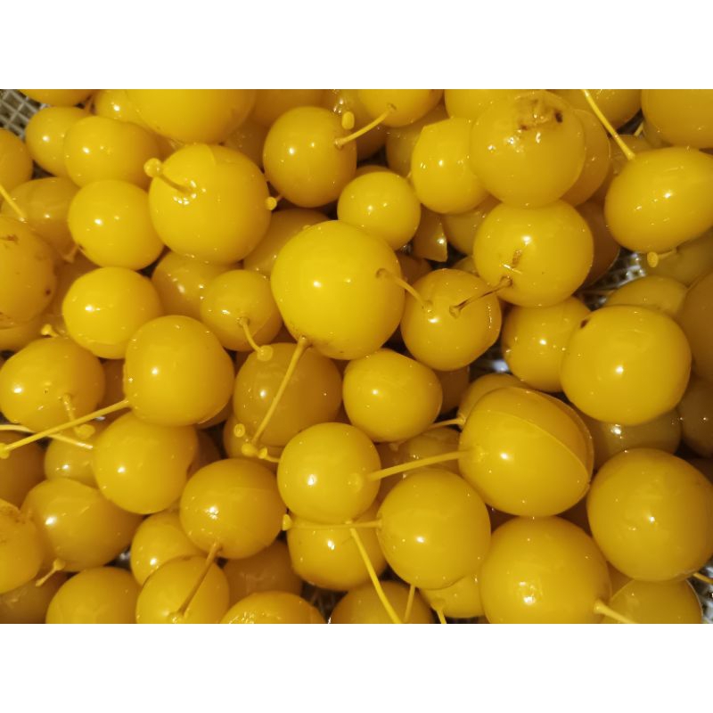 

Manisan/Asinan buah ANGGUR bogor manis, 400 gram