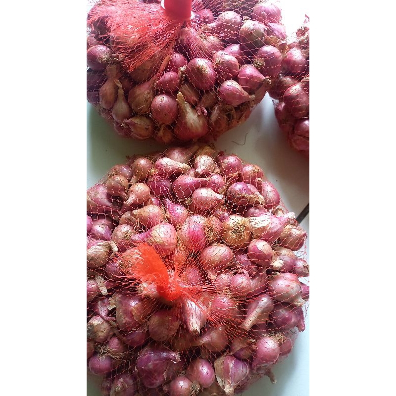 

Bawang Merah Probolinggo