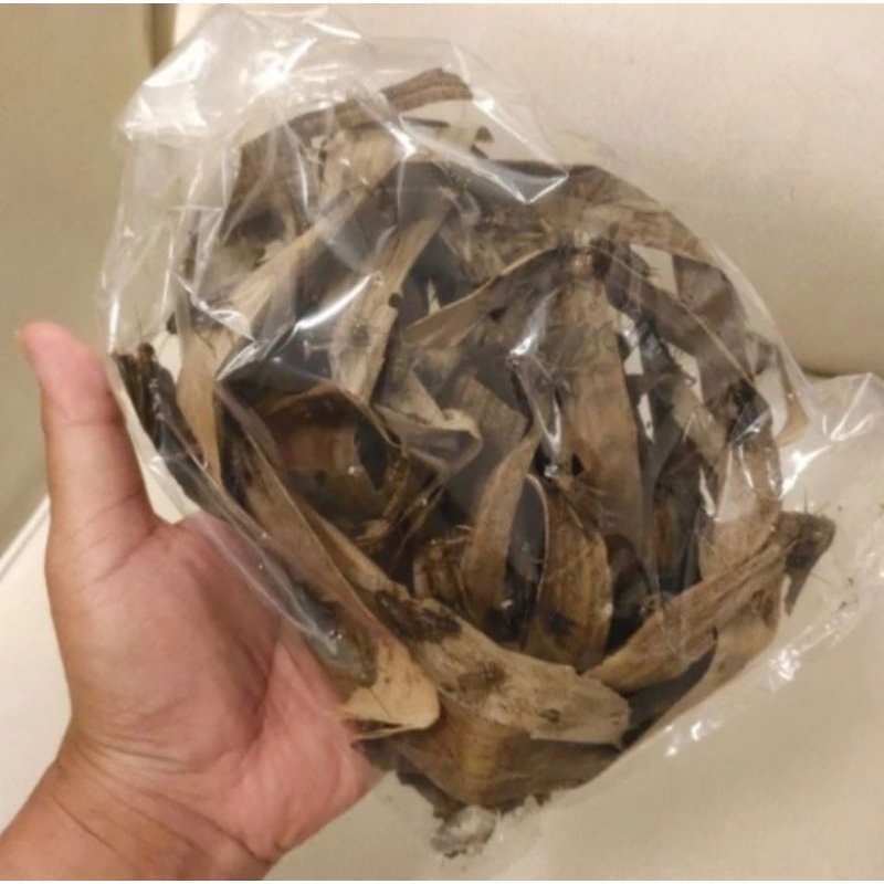 PAKAN HIDUP JANGKRIK