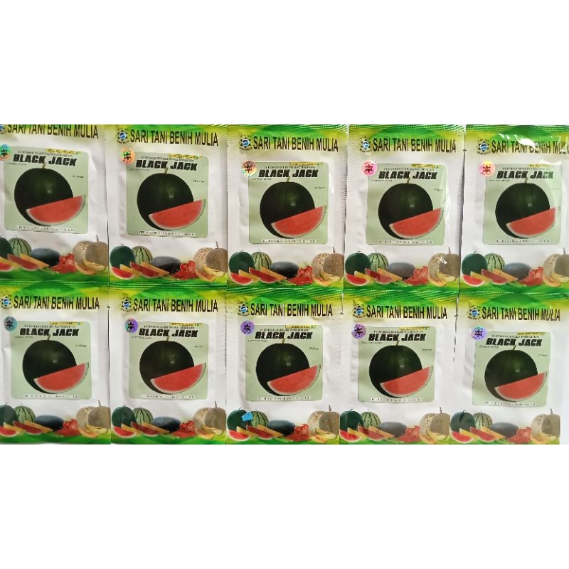 benih semangka kulit gelap BLACKJACK