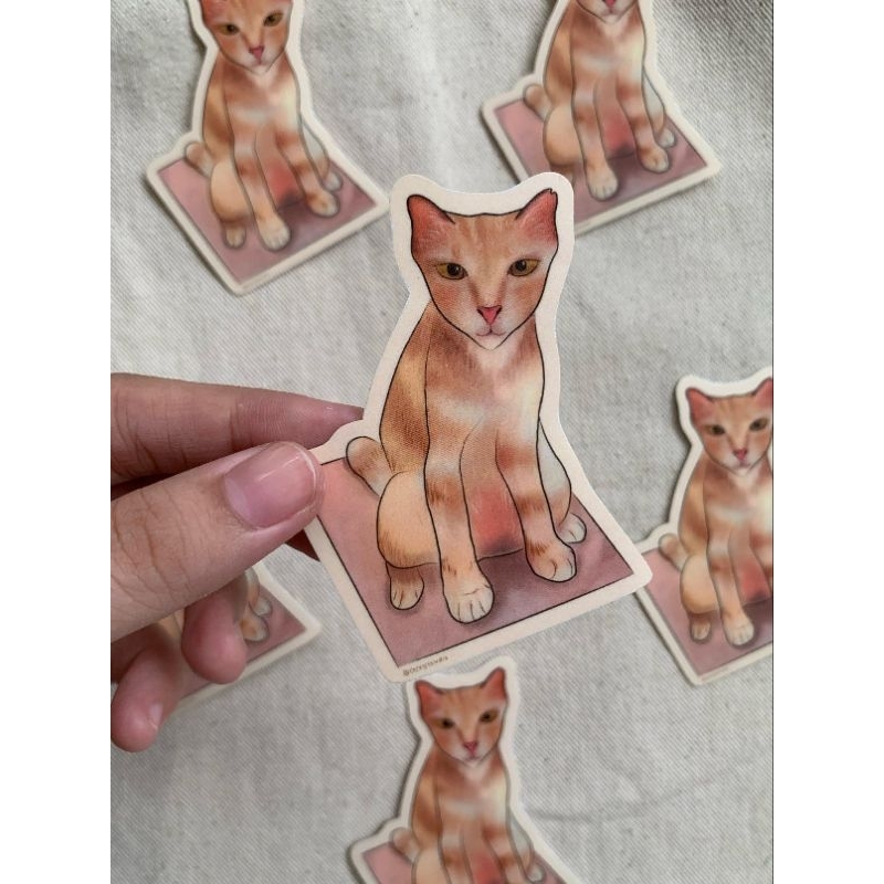 

Sticker Laptop sticker tumblr sticker vinyl laminasi doff die cut (satuan)