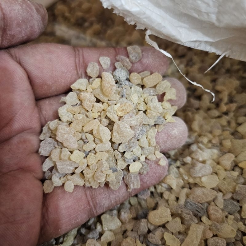 Kemenyan Menyan Arab 100 GRAM Luban Gum Arab Frankincense Olibanum 100 GRAM