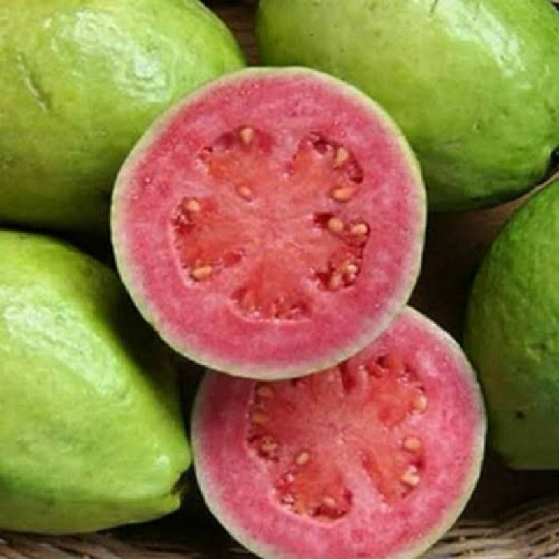 

jambu merah biji fresh segar 1 kg mulus