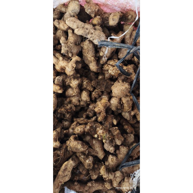 

jahe emprit pacitan 500gram
