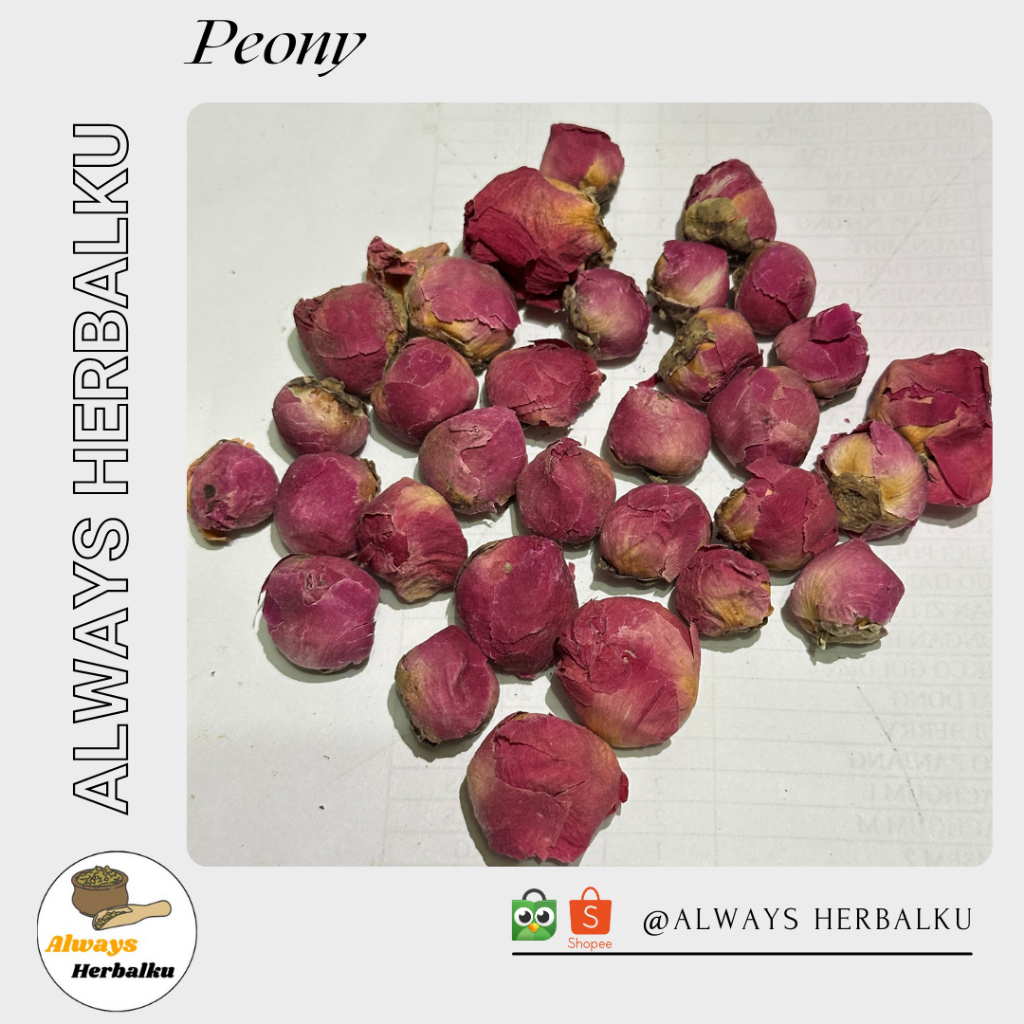 

Dried Peony Buds / Peony / Bunga Peony / Peony Buds / Kuncup Peony / Peony Kering -250gr