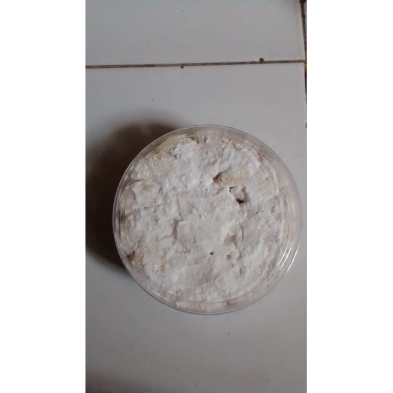 

Aneka kuker