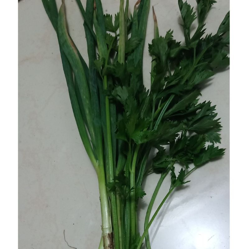 

DAUN BAWANG DAN SELEDRI