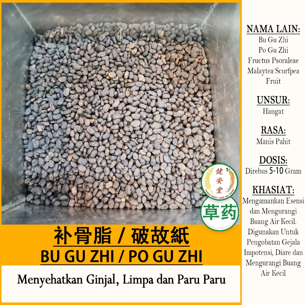 

BU GU ZHI / PO GU ZHI [Fructus Psoraleae 补骨脂/破故纸] Herbal TCM Per 100 Gram
