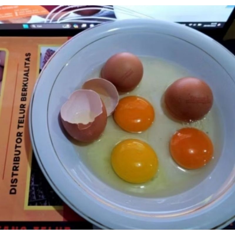 

TELUR AYAM RAS OMEGA 3,4,6 BLITAR
