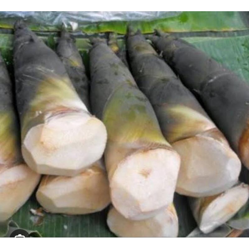 

Rebung Petung Wulung 1 Kg Hitam Sayur Utuh Obat Herbal Murah