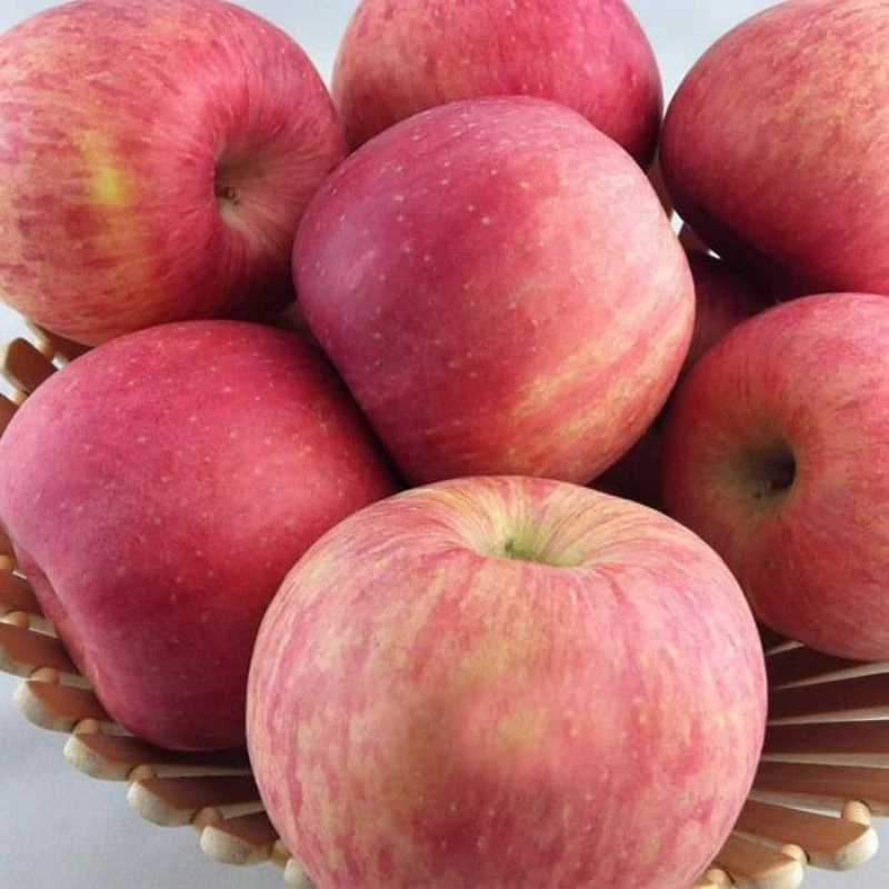 

Apel Fuji Segar 1 Kg - Rizal Market