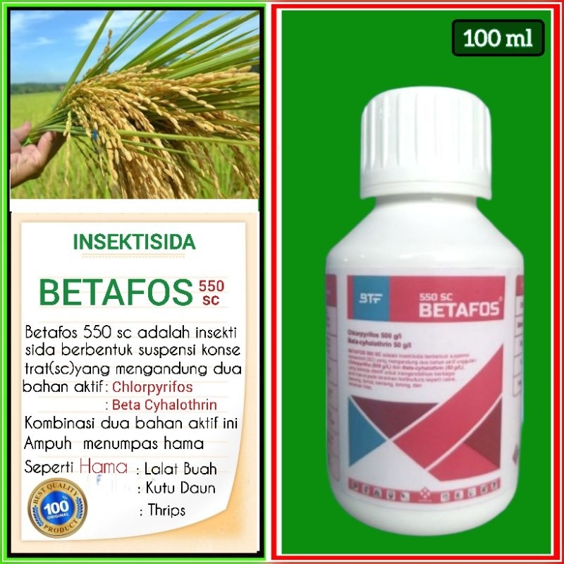 INSEKTISIDA100ML BETAFOS 550 SC Racun kontak sistemik pembasmi lalat buah,ulat daun,kutu kebul,sunde