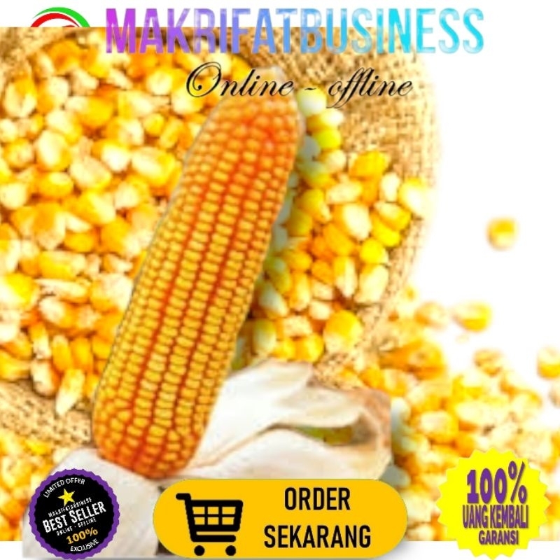 

MAKRIFATBUSINESS Paket 15 kg JAGUNG PIPIL HIBRIDA Kwalitas Bersih Untuk Konsumsi Pakan Ternak Bibit Serta Keperluan lainnya
