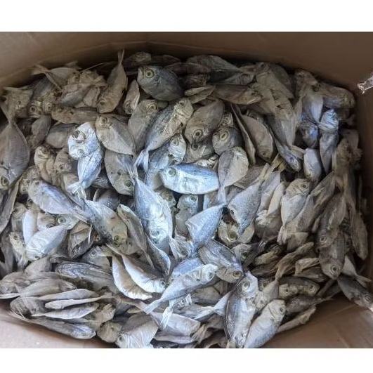 

ikan asin petek/ikan asin dodok/ikan asin pirik 1 kg ukuran kecil sedang