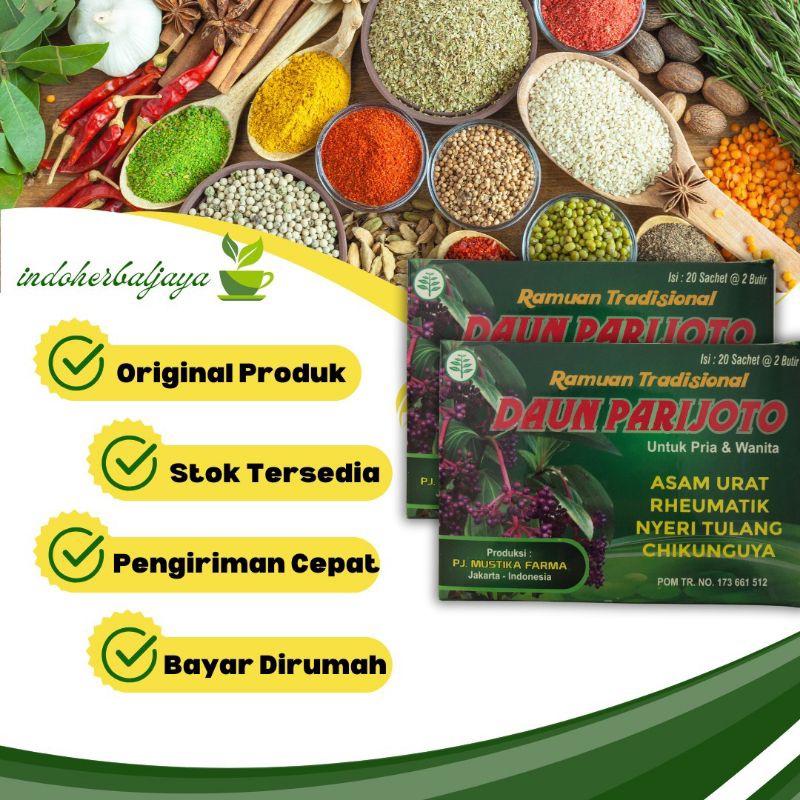

Herbal Daun Parijoto Kapsul Original