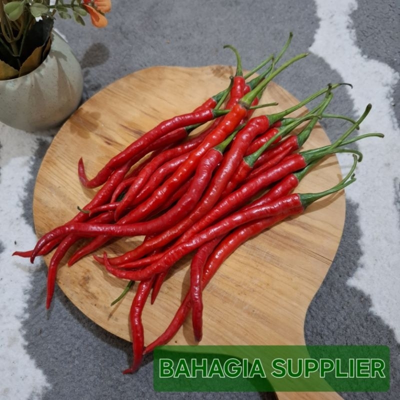 

Cabe Merah Keriting 250gr / 500gr / 1kg
