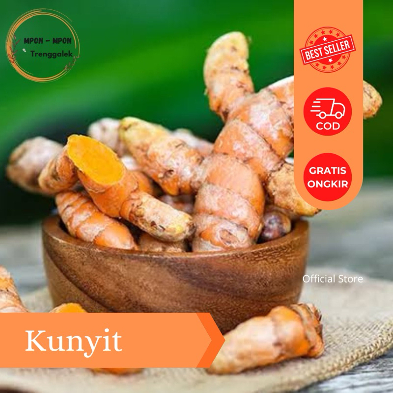 

Kunyit Kunir Segar Bersih 100gr 250gr Murah