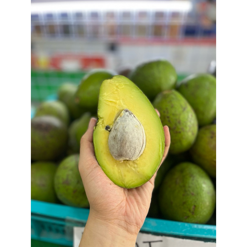 

Alpukat Pokat mentega JUMBO per kilo ukuran besar avocado alpokat / isi dalam cantik