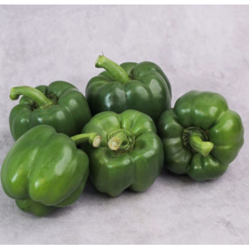 

Paprika Hijau 250gr – Sayuran Segar dan Renyah untuk Tumisan, Salad, dan Hidangan Sehat