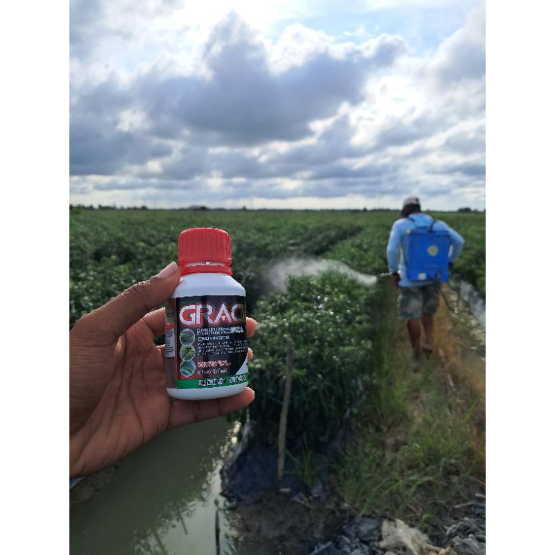 Insektisida Gracia 103EC