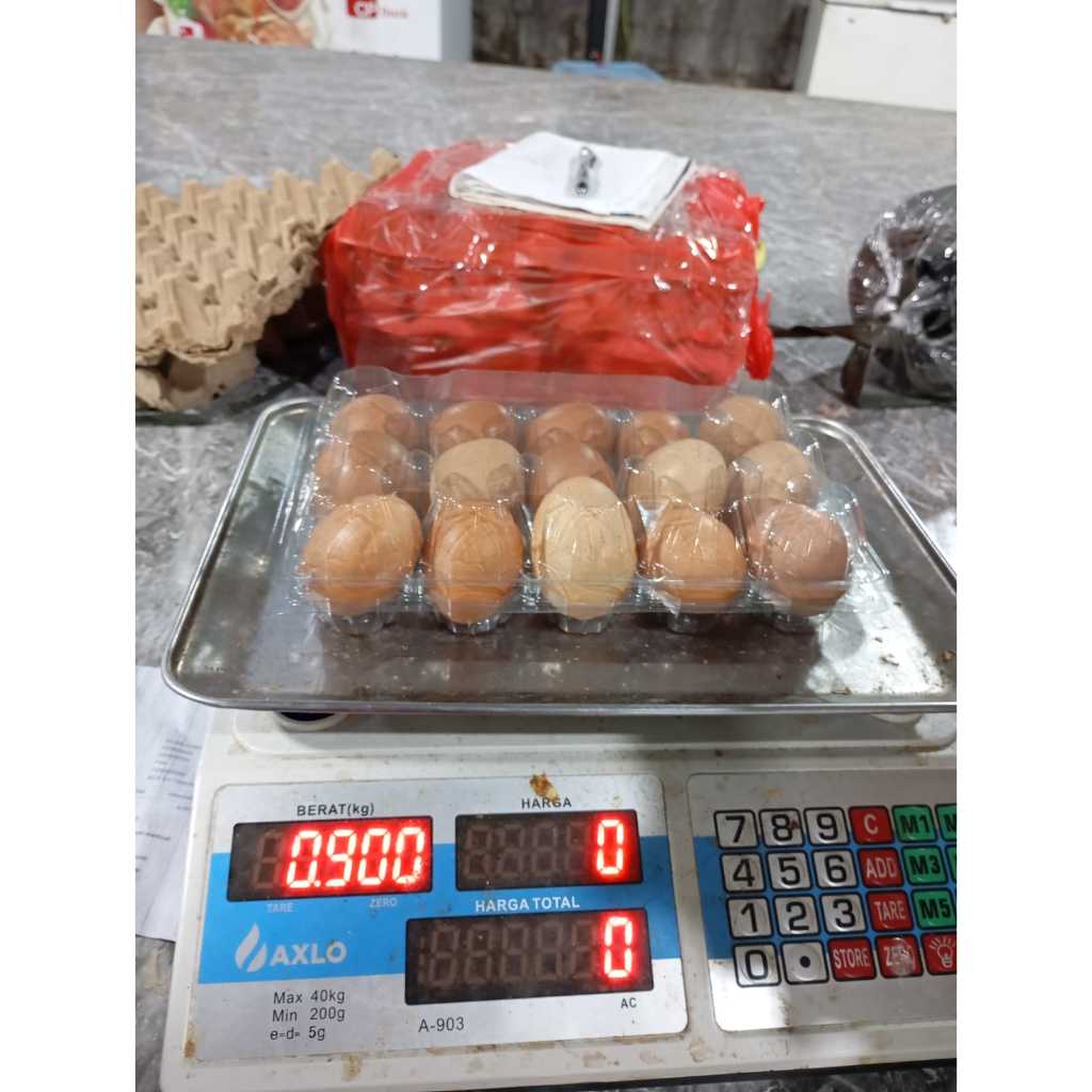 

TELOR BIASA (bukan omega) premium 1PACK UK SEDANG/biasa/bukan omega