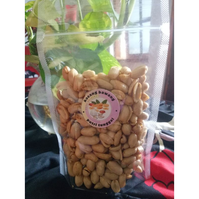 

Kacang besar asli nganjuk