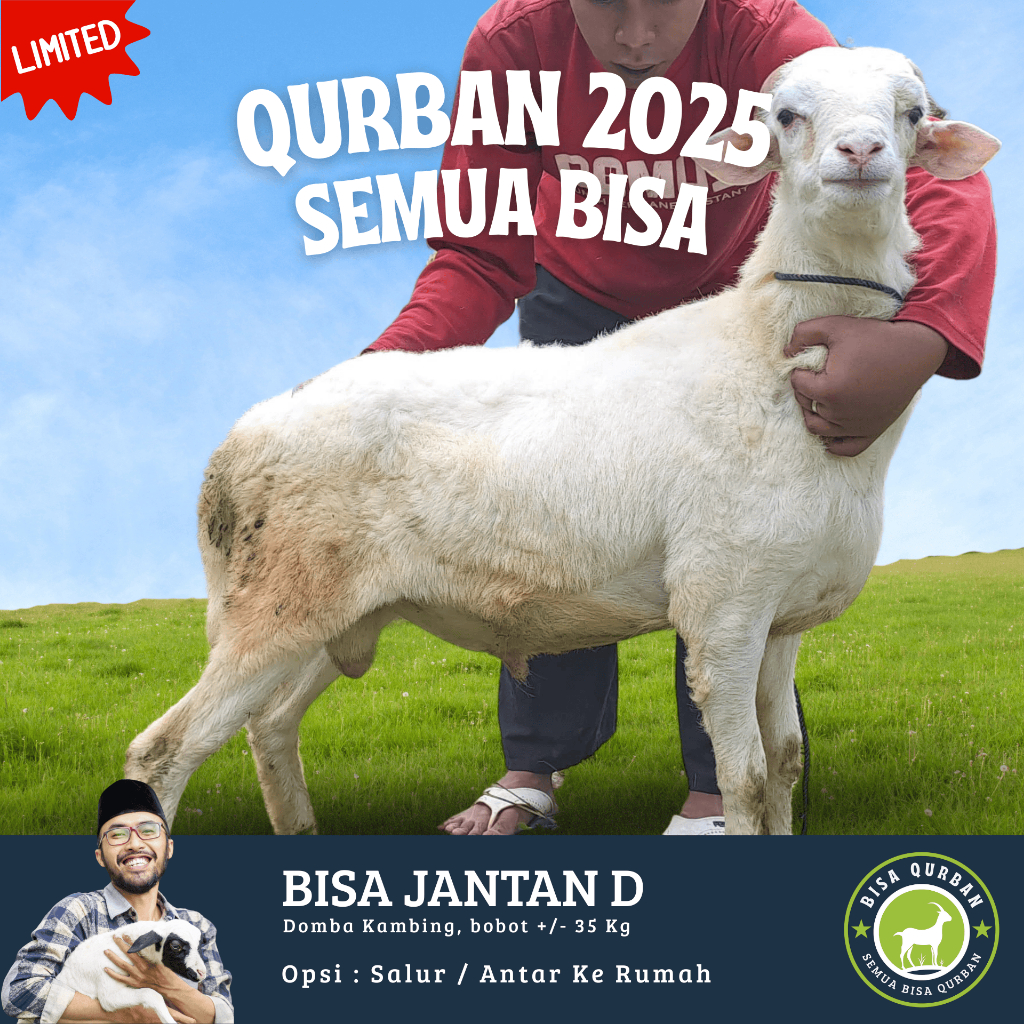 

Hewan Qurban Kambing Domba Qurban Kurban Hidup Bobot 35kg Kirim Bisa Qurban