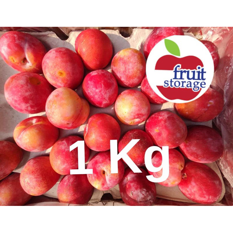 

Plum Fresh Import Australia buah segar plum Amerika impor pixie USA