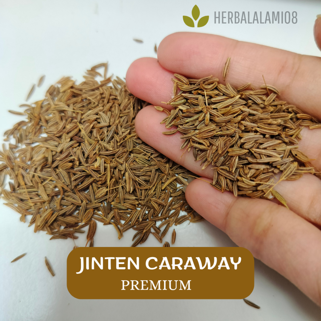 

Jinten | Jintan Cumin Caraway Seed | Fresh dan Bersih