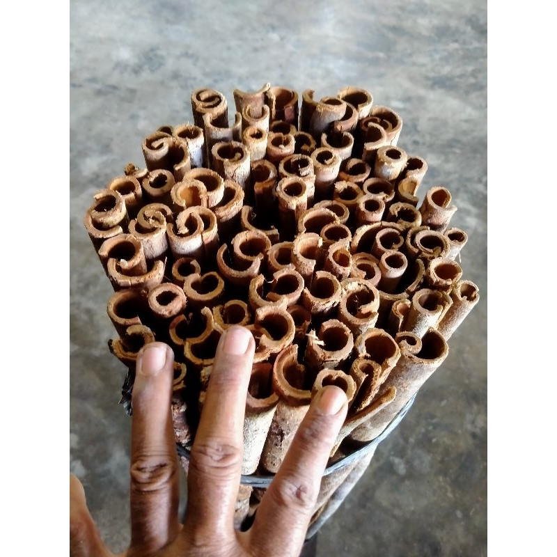 

Raru Putih Bulat 100 Lembar