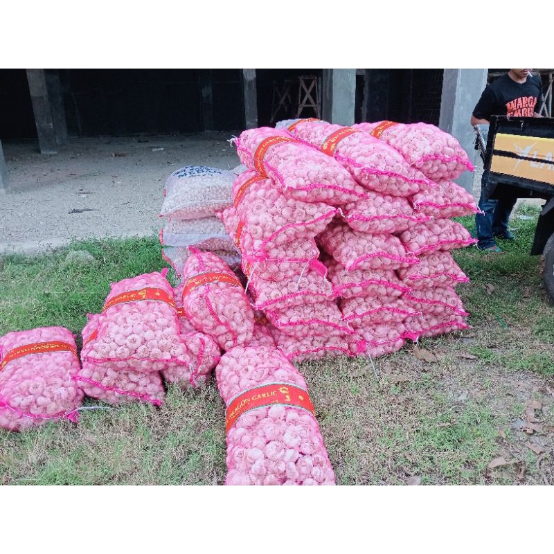 

BAWANG PUTIH BERSIH KARUNGAN 19,5 KG