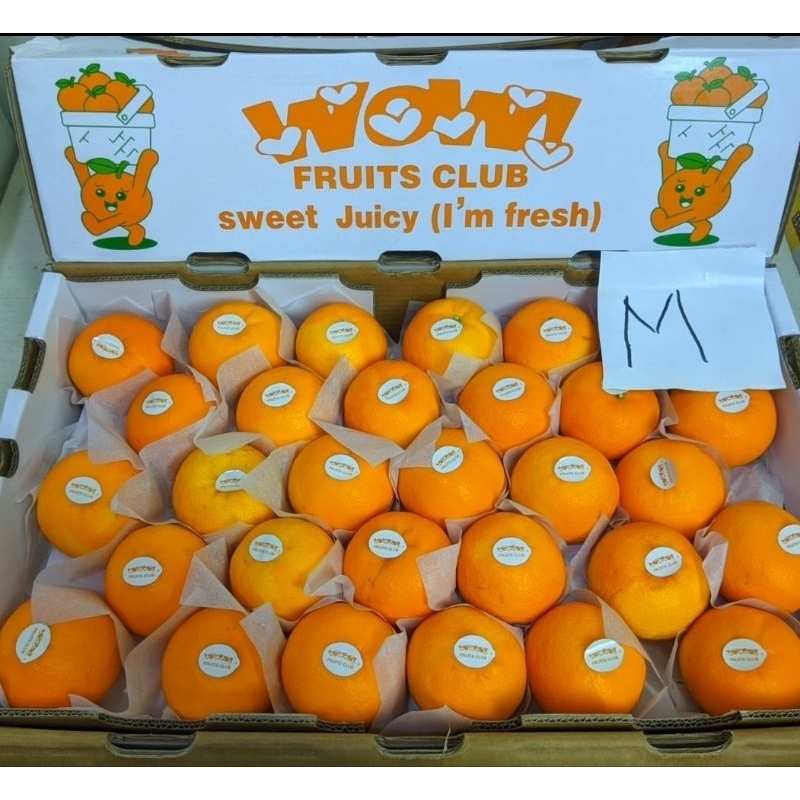

jeruk wogan 1 kg