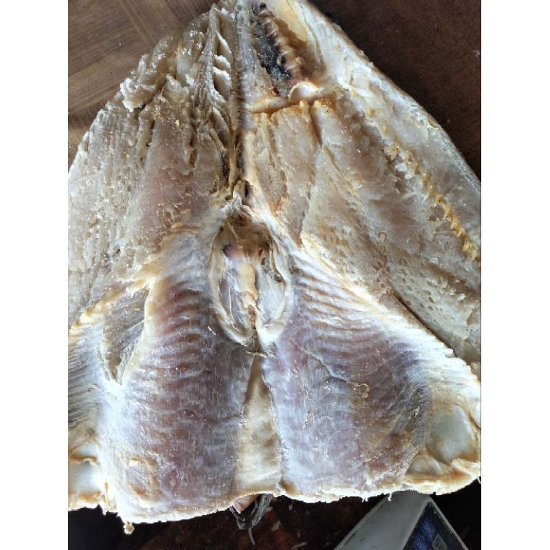 

Jambal Roti Utuh (1 EKOR)