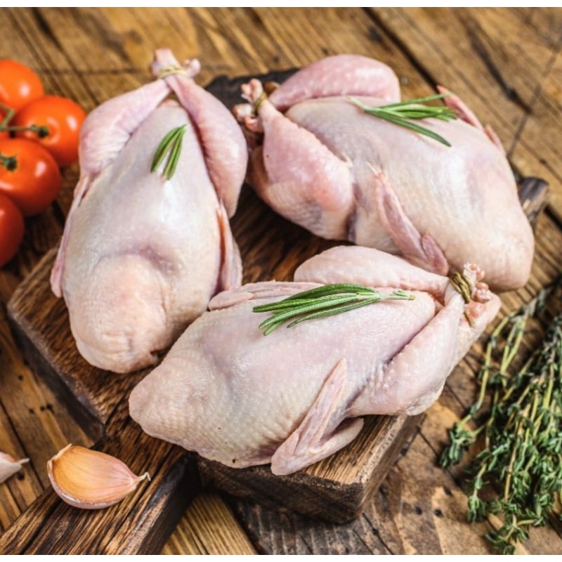 

daging puyu beku frozen size A