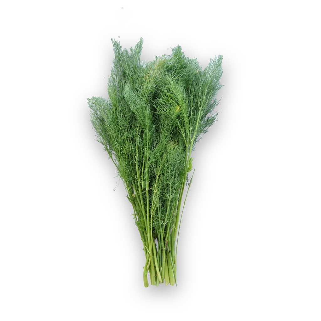 

Daun Dill Kering 100gr 1 Pack Rempah Segar dan Aromatik Premium
