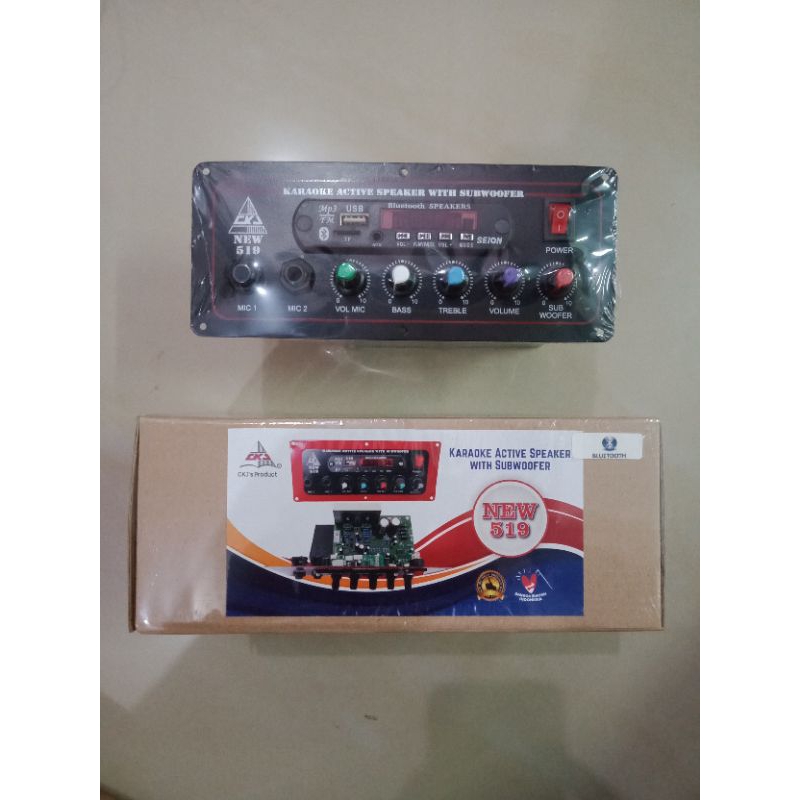 Kit Karaoke Active Speaker With Subwoofer Bluetooth CKJ NEW519
