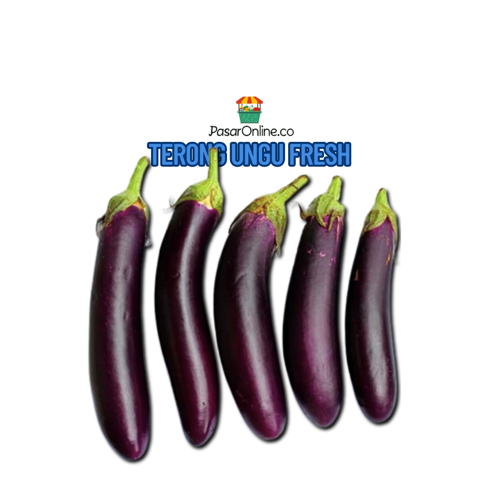 

TERONG UNGU FRESH SEGAR