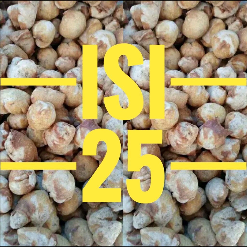 

Cuanki siomay besar kering asli garut isi 25 UMKM lokal
