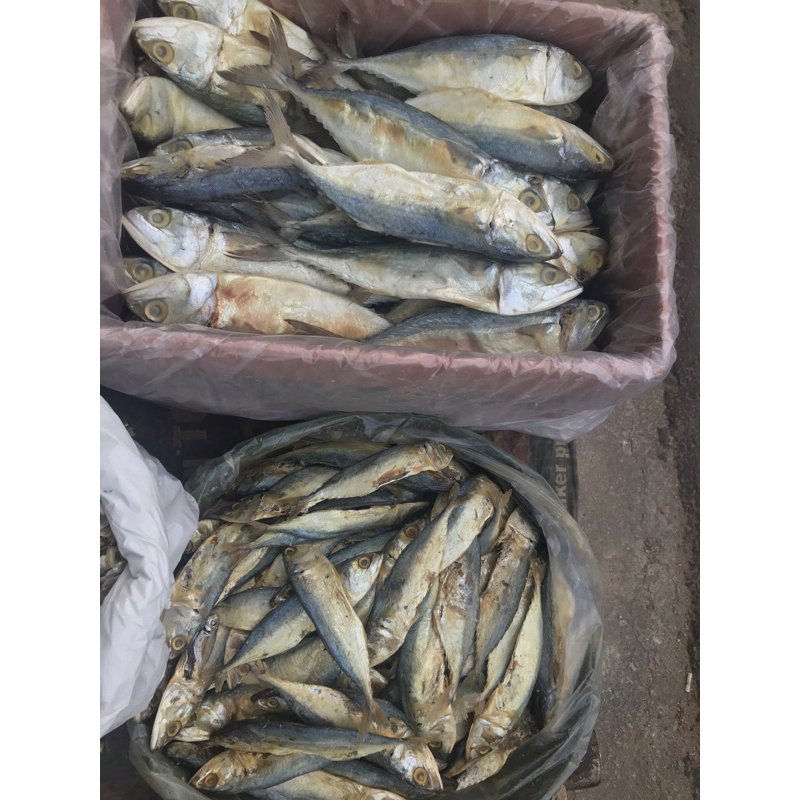 

IKAN ASIN PEDA BESAR KECIL CAMPUR 500Gram/1KG