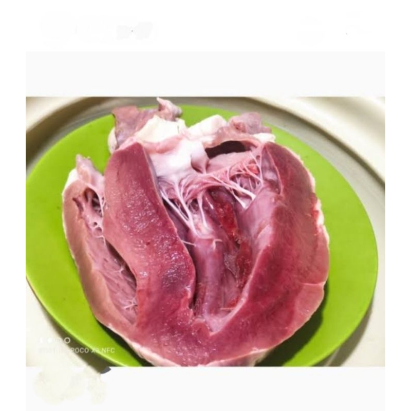 

jantung sapi@1kilo