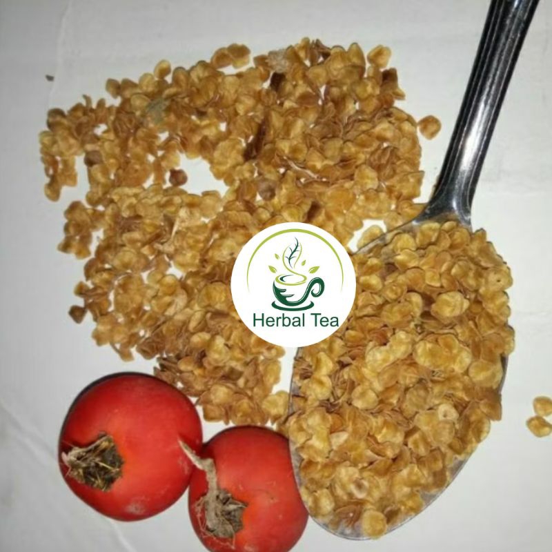 

Biji terong pari terong hutan isi 500 biji