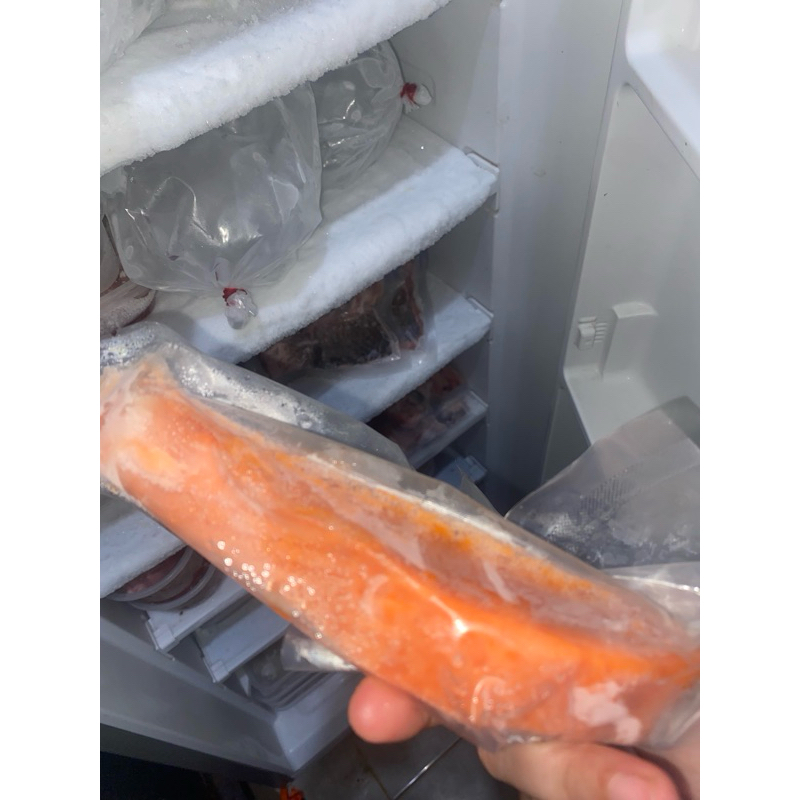 

salmon fillet (badan)