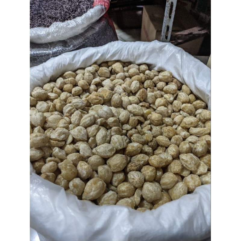 

Biji Kemiri Bukat Bumbu Dapur Masak