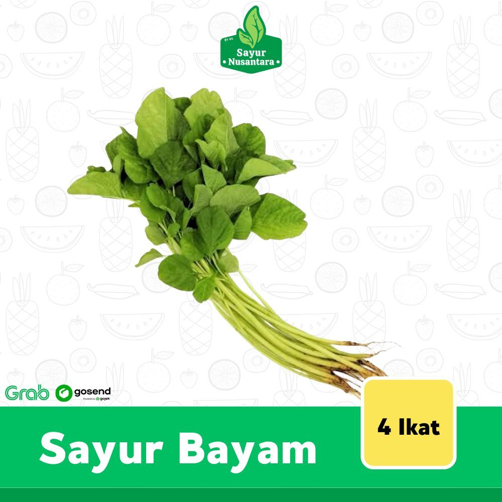 

Bayam Akar Fresh 4 Ikat - Sayur Nusantara