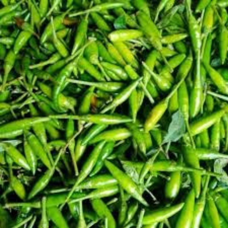 

Cabe Rawit Hijau Cengek Hijau 100 gram