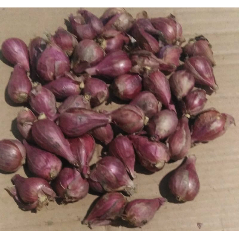 

bawang brebes/bawang super/asli bawange wong brebes yaa