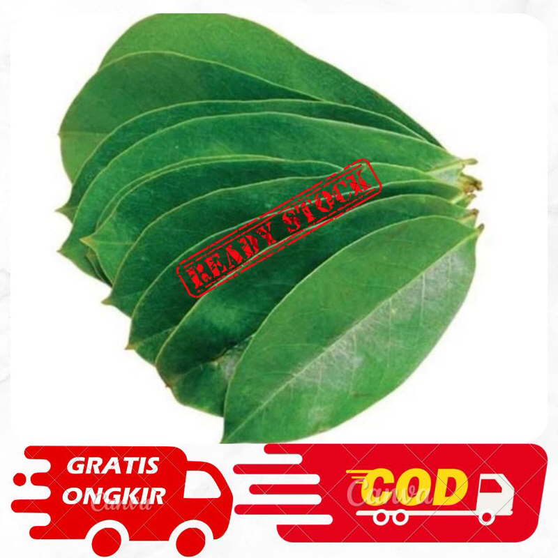 

Obat Herbal Daun Sirsak segar 1kg/Daun Sirsak Fresh