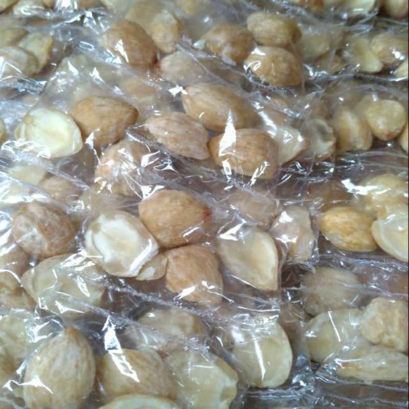 

Kemiri 1 sachet -Sembakoku Semarang